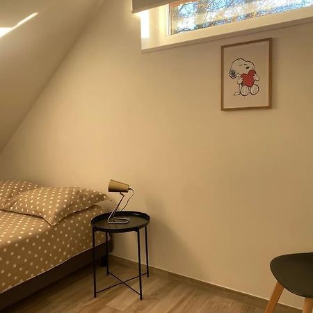 Appartement Dans Une Grange Renovee Straßburg Exterior foto